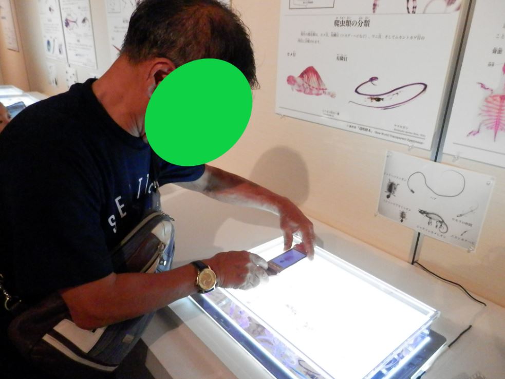 【仙台】「新世界　透明標本展」③